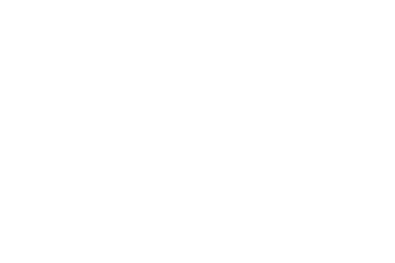 staylingservice-logo-white